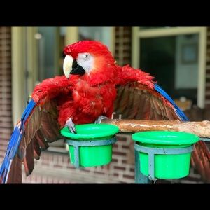 ❤My baby girl ❤"Picasso"